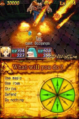 Tao's Adventure Curse of the Demon Seal screenshot 3 for Nintendo DS